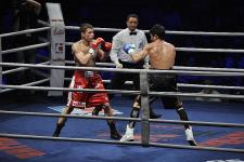 Husaria zmierzy się z Argentyną Husaria zmierzy się z Argentyną