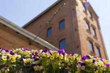 Kolejne urodziny Muzeum Polskiej Wódki - to już 3 lata! Kolejne urodziny Muzeum Polskiej Wódki - to już 3 lata!