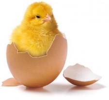 Lawina promocji ruszyła: kredyty gotówkowe - świąteczne Lawina promocji ruszyła: kredyty gotówkowe - świąteczne