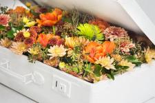 Chryzantemowe projekty oczarowały gości Special DAYS Chryzantemowe projekty oczarowały gości Special DAYS