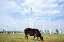 Zmiana klimatu dzieje się na naszych oczach Zmiana klimatu dzieje się na naszych oczach