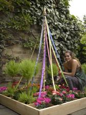 Wprowadź zachwycającą nutkę wczesnego lata do swojego ogródka! Wprowadź zachwycającą nutkę wczesnego lata do swojego ogródka!