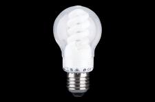 Nowość! Świetlówki z osłonami firmy SPOT Light – styl w energooszczędności Nowość! Świetlówki z osłonami firmy SPOT Light – styl w energooszczędności