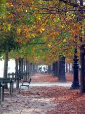 Niezawodne sposoby zwiększenia odporności na jesień Niezawodne sposoby zwiększenia odporności na jesień