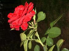 W biznesie lepiej uważać, nawet gdy dobrze idzie W biznesie lepiej uważać, nawet gdy dobrze idzie