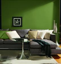 Wiosenne kolory przez cały rok! Wiosenne kolory przez cały rok!