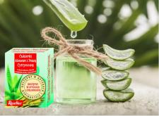 Cudowny Aloes – zatrzymaj czas ! Cudowny Aloes – zatrzymaj czas !