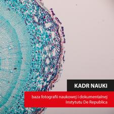 Instytut De Republica poszukuje fotografii dokumentujących polską naukę Instytut De Republica poszukuje fotografii dokumentujących polską naukę