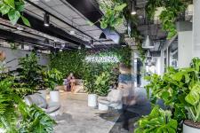 Biophilic vademecum - jak stworzyć zdrową przestrzeń pracy Biophilic vademecum - jak stworzyć zdrową przestrzeń pracy