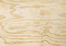 Nowość w ofercie DLH Poland – sklejka sosnowa z Chile Nowość w ofercie DLH Poland – sklejka sosnowa z Chile