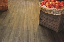 "Moda" na mobilność "Moda" na mobilność