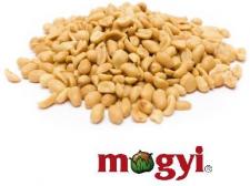 Orzechowe sposoby Mogyi na niezapowiedzianych gości Orzechowe sposoby Mogyi na niezapowiedzianych gości