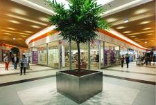 Galeria Raj znalazła sposoby na Jesienne Przebudzenie Galeria Raj znalazła sposoby na Jesienne Przebudzenie