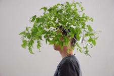 W uścisku natury? W uścisku natury?