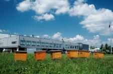 Masterpress SA stawia ule w Suwalskiej SSE, inwestuje i szuka pracowników Masterpress SA stawia ule w Suwalskiej SSE, inwestuje i szuka pracowników