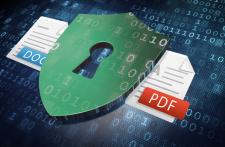 24% osób utraciło kopie zapasowe swoich danych 24% osób utraciło kopie zapasowe swoich danych