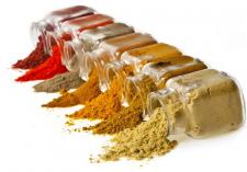 Koinfekcje przy boreliozie - terapie ziołowe Koinfekcje przy boreliozie - terapie ziołowe