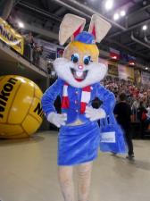 Why Not-Ka: Kibice Asseco Resovii to cudowni ludzie! Why Not-Ka: Kibice Asseco Resovii to cudowni ludzie!