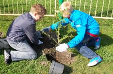 „Raj w Dębicy” „Raj w Dębicy”