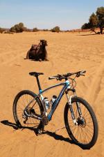 Polacy, rowery i piaski Sahary… Polacy, rowery i piaski Sahary…