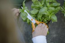 Niezbędnik ogrodniczki Niezbędnik ogrodniczki