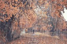 Depresja sezonowa – jak sobie z nią poradzić? Depresja sezonowa – jak sobie z nią poradzić?