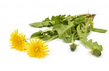 Ekologiczna uprawa opon Continental Ekologiczna uprawa opon Continental