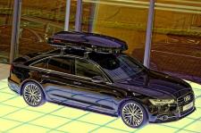 Taurus z wyłącznością na dystrybucję produktów Kamei Taurus z wyłącznością na dystrybucję produktów Kamei