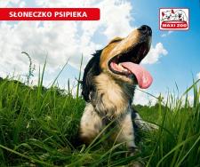 Jak chronić zwierzęta przed upałami ? Jak chronić zwierzęta przed upałami ?