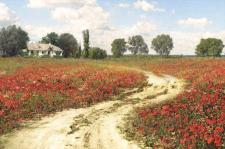 II Aukcja Młodej Sztuki w najbliższy piątek w Art Hotelu II Aukcja Młodej Sztuki w najbliższy piątek w Art Hotelu