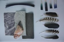 Andropol na Heimtextil 2014. Najnowsze trendy we wnętrzarstwie Andropol na Heimtextil 2014. Najnowsze trendy we wnętrzarstwie