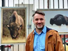 Białystok. Żubr i sóweczka na płocie przy Fabrycznej Białystok. Żubr i sóweczka na płocie przy Fabrycznej