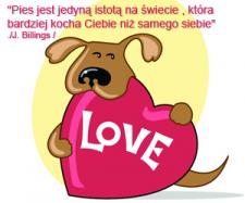 Kleszcze tak samo groźne dla ludzi jak i psów Kleszcze tak samo groźne dla ludzi jak i psów