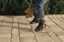 Ogrody dzieciństwa Ogrody dzieciństwa