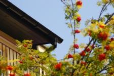 Jak obliczyć ilość rynien i rur spustowych potrzebnych do odwodnienia dachu? Jak obliczyć ilość rynien i rur spustowych potrzebnych do odwodnienia dachu?