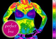 Biustonosz idealny – marzenie każdej kobiety Biustonosz idealny – marzenie każdej kobiety