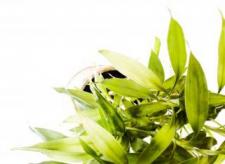 Jak uchronić się przed jesiennym przeziębieniem? Jak uchronić się przed jesiennym przeziębieniem?