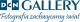 logo: DCN Gallery