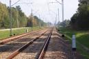 Krzyk sójki i ujadanie psów ratują zwierzęta na torach Krzyk sójki i ujadanie psów ratują zwierzęta na torach