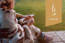 Slow life, czyli życie we własnym tempie Slow life, czyli życie we własnym tempie