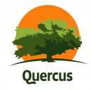 Nowe certyfikaty SAP w Quercus Sp. z o.o. Nowe certyfikaty SAP w Quercus Sp. z o.o.