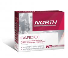 Cardio + moderne Herstellung einer Reihe von Nord-in die Interessen des Herz-Kreislauf-System von ausgewachsenen männlichen 