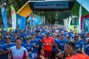 Wielki finał biegów dzieci z gwiazdami sportu. Czy w Bydgoszczy padnie rekord frekwencji? Wielki finał biegów dzieci z gwiazdami sportu. Czy w Bydgoszczy padnie rekord frekwencji?