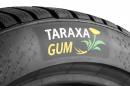 Continental z nagrodą za projekt badawczy „Taraxagum” Continental z nagrodą za projekt badawczy „Taraxagum”