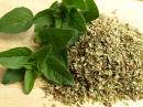 Olejek z oregano - zastosowanie Olejek z oregano - zastosowanie