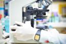 Biopsja jąder – na czym polega i kiedy się ją stosuje? Biopsja jąder – na czym polega i kiedy się ją stosuje?