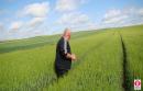 Ułatwienia dla producentów jęczmienia browarnego Ułatwienia dla producentów jęczmienia browarnego