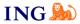 Grupa ING Grupa ING