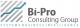 BI-Pro Consulting Group Sp. z oo 