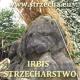 IRBIS Strzecharstwo - Dachy z Trzciny i Słomy IRBIS Strzecharstwo - Dachy z Trzciny i Słomy